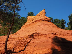 mk体育官网-一日英超动态阿莫林自信发声转会话题升温，阿莫子林